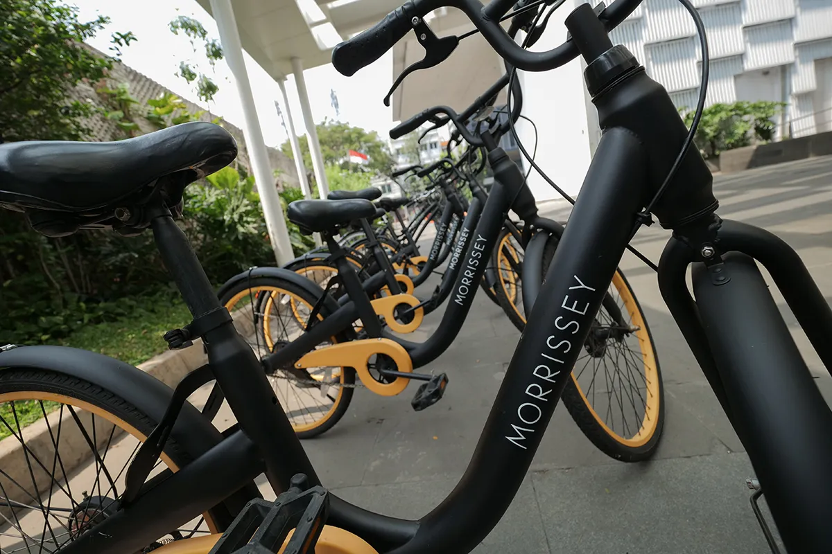 e-bike-bicycle-rides